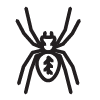 icon-spider-01